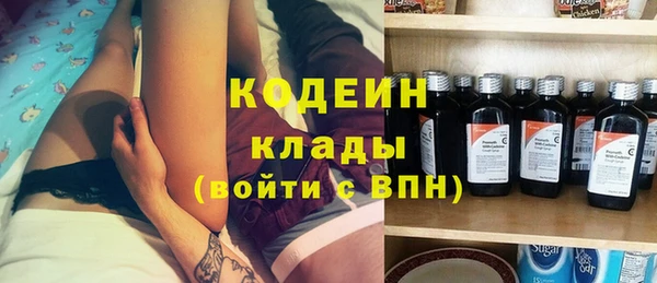 шишки Бородино