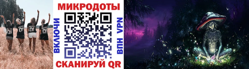 Псилоцибиновые грибы Psilocybe Валдай