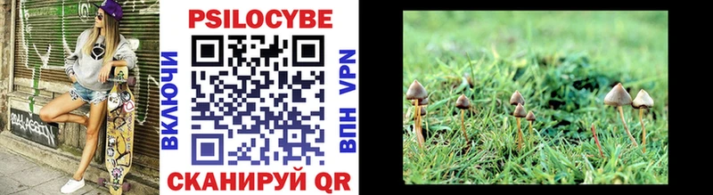 где продают наркотики Валдай Галлюциногенные грибы Cubensis
