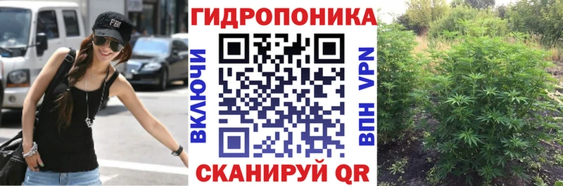 Бошки Шишки Amnesia  хочу наркоту  Валдай 